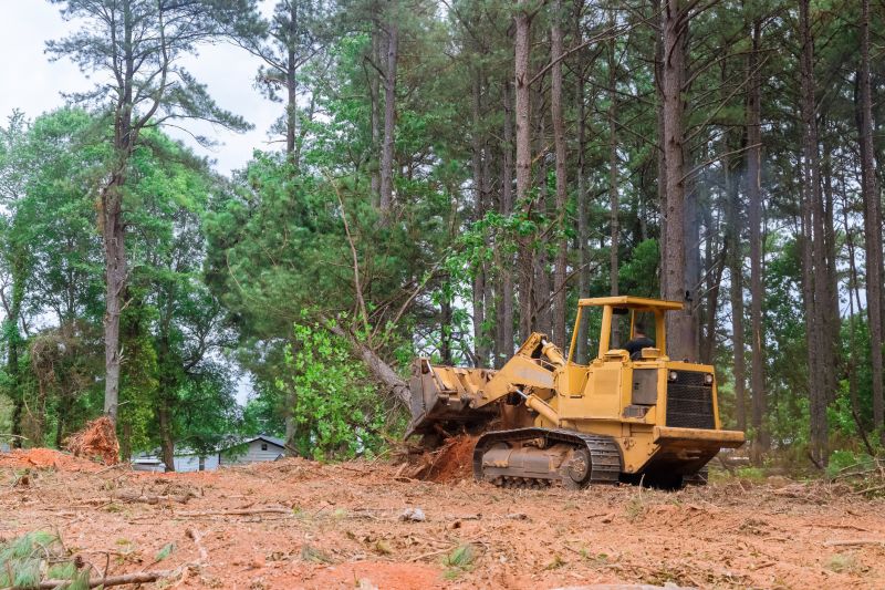 Bulldozer Clearing in Marietta, GA