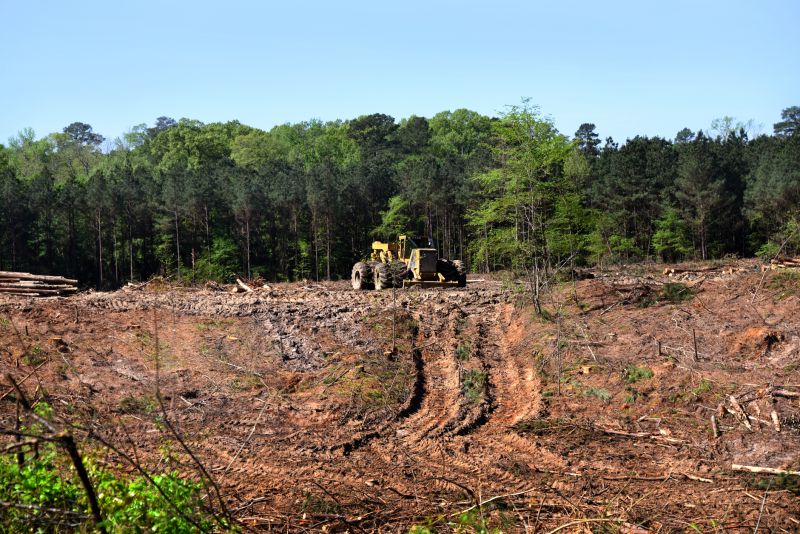 Hill Clearing in Houston, TX