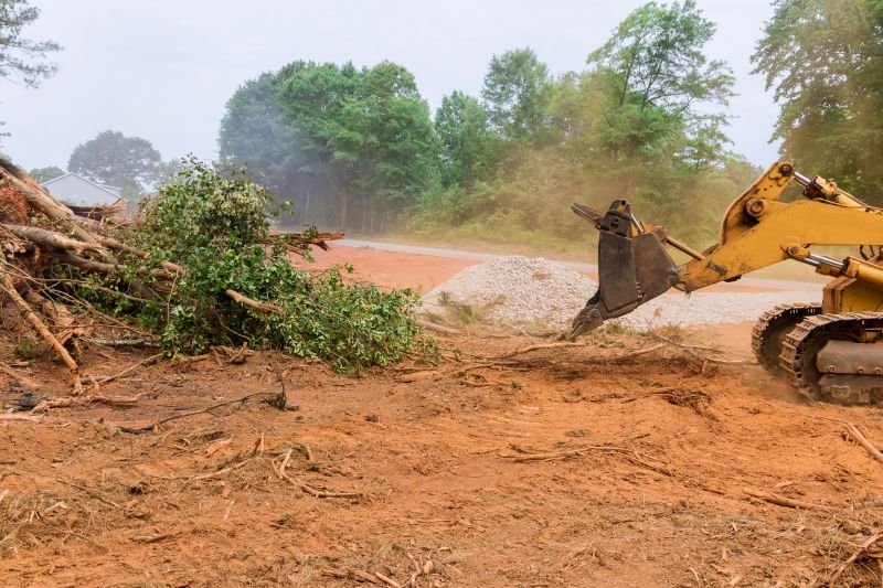 Building Site Clearing in Atlanta, GA