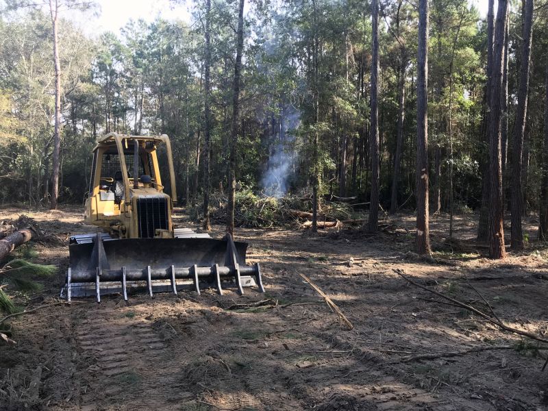 Bulldozer Clearing in Houston, TX