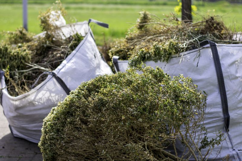 Bushes Clearing in Katy, TX
