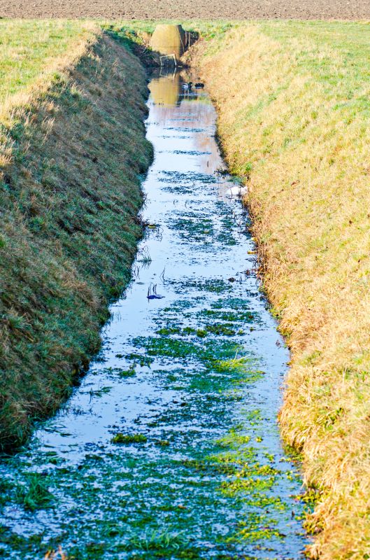 Ditch Repair in Houston, TX