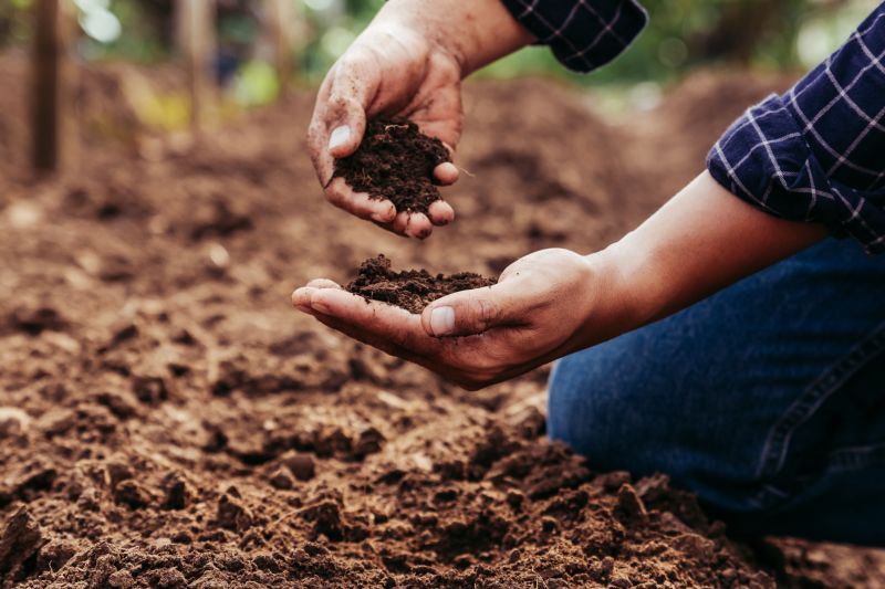 Earthwork Service in Houston, TX