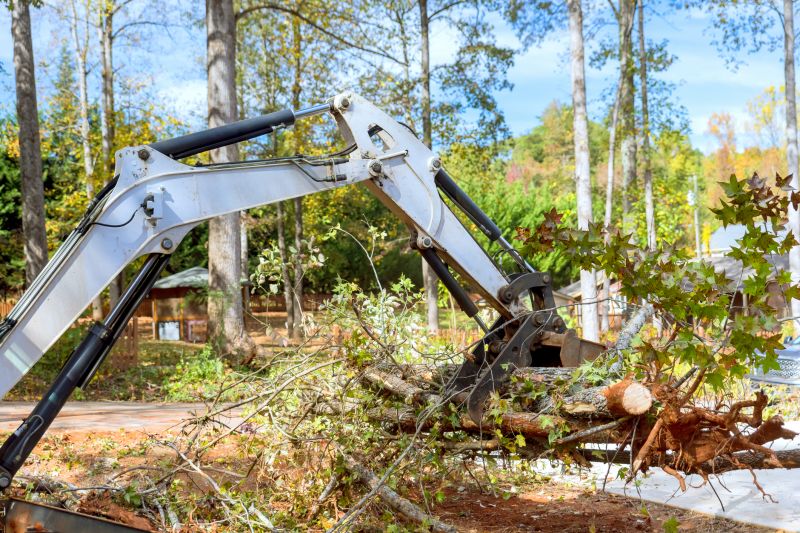Easement Land Clearing in Atlanta, GA