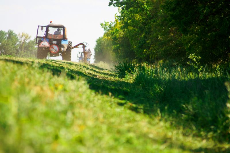 Field Clearing in Salt Lake City, UT