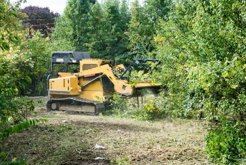 Field Clearing in Salt Lake City, UT