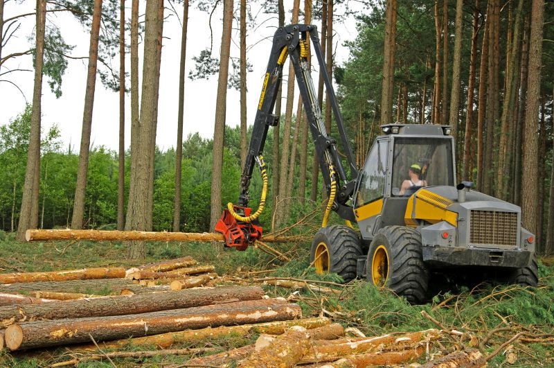 Forestry Clearing in Atlanta, GA