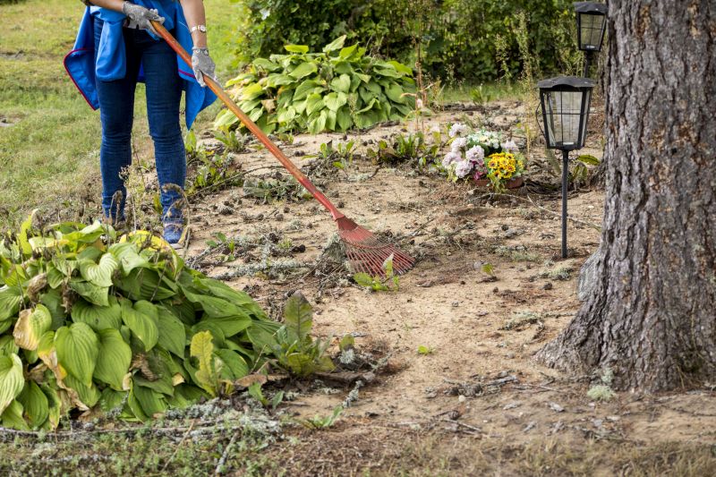 Ground Clearing in Houston, TX