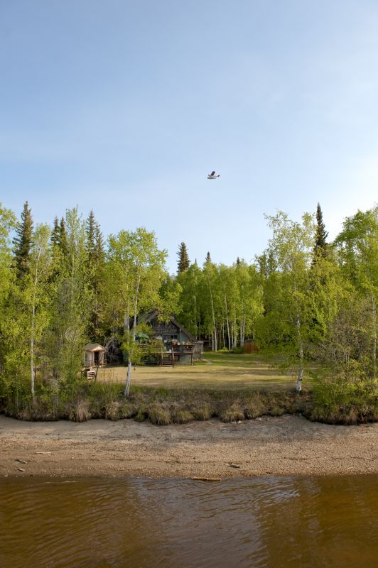 Ground Clearing in Atlanta, GA