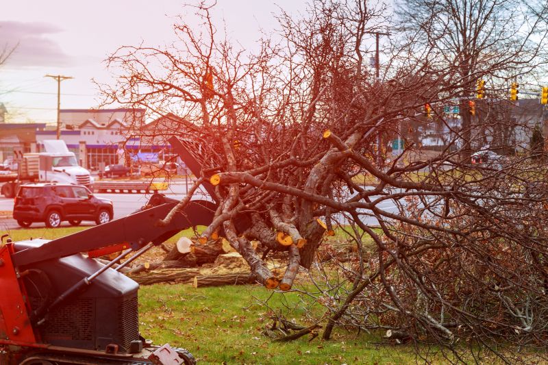 Land Clearing in Houston, TX