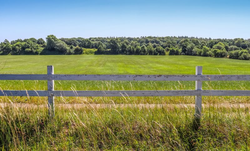 Pasture Clearing in Katy, TX