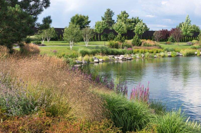 Pond Excavation in Houston, TX